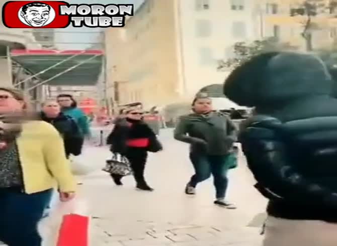 Video :When two Frenchmen attempt to frighten an Italian woman, an alpha looks after them